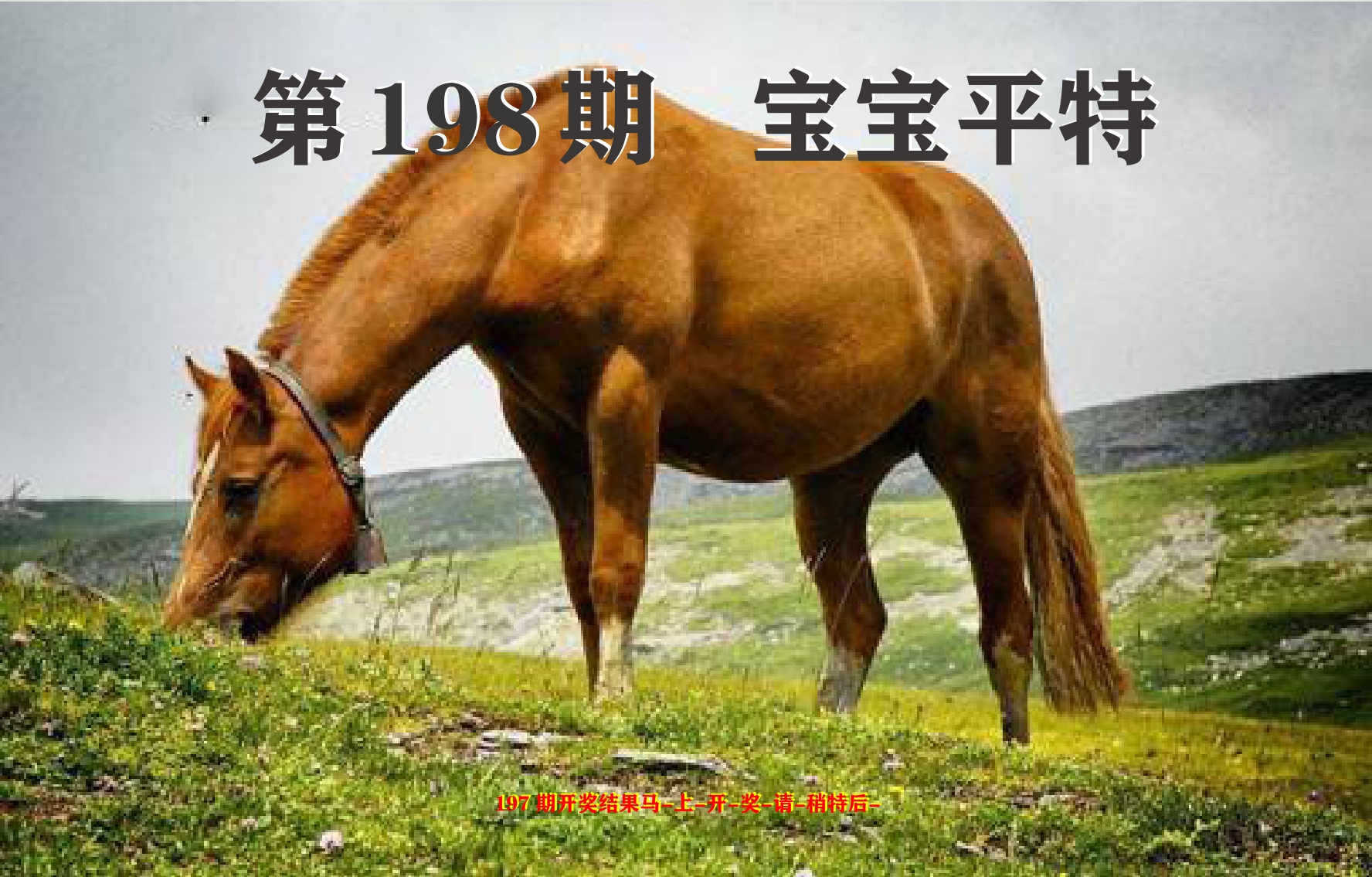 加载中……
