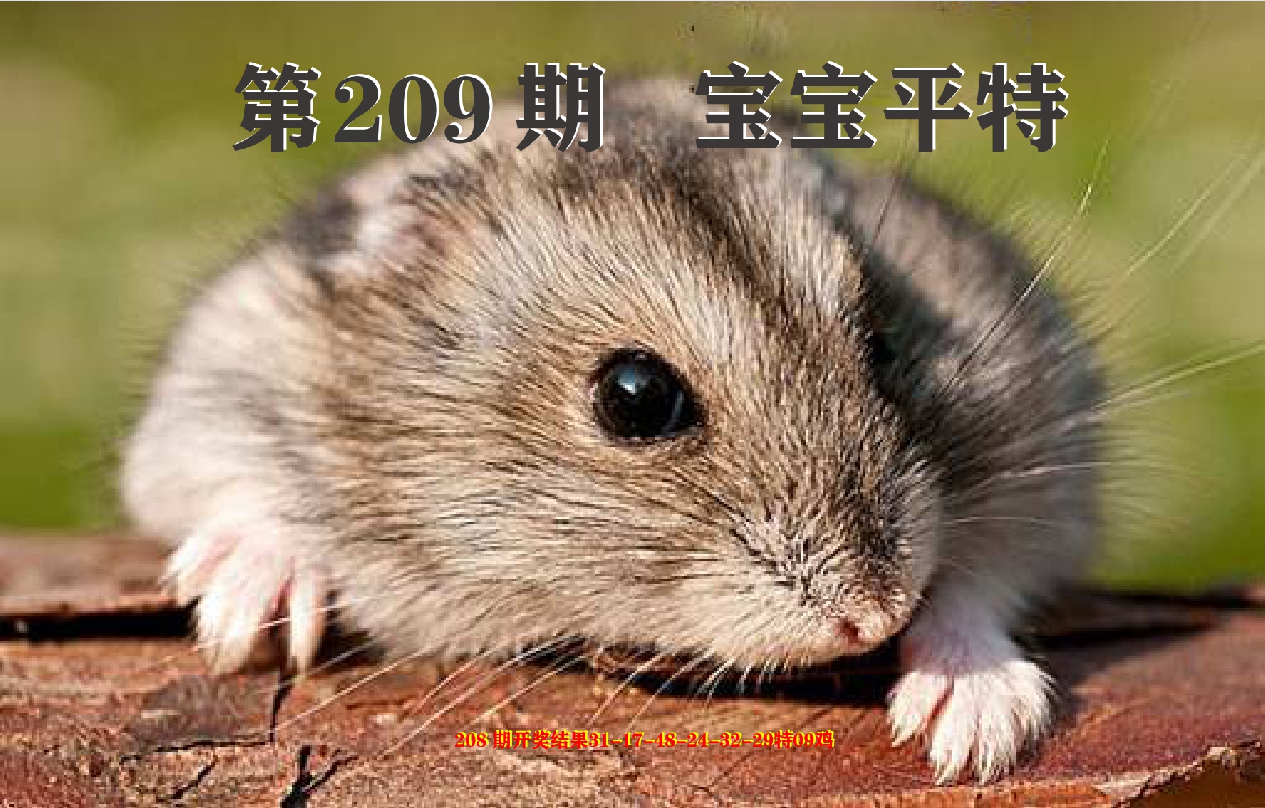 加载中……