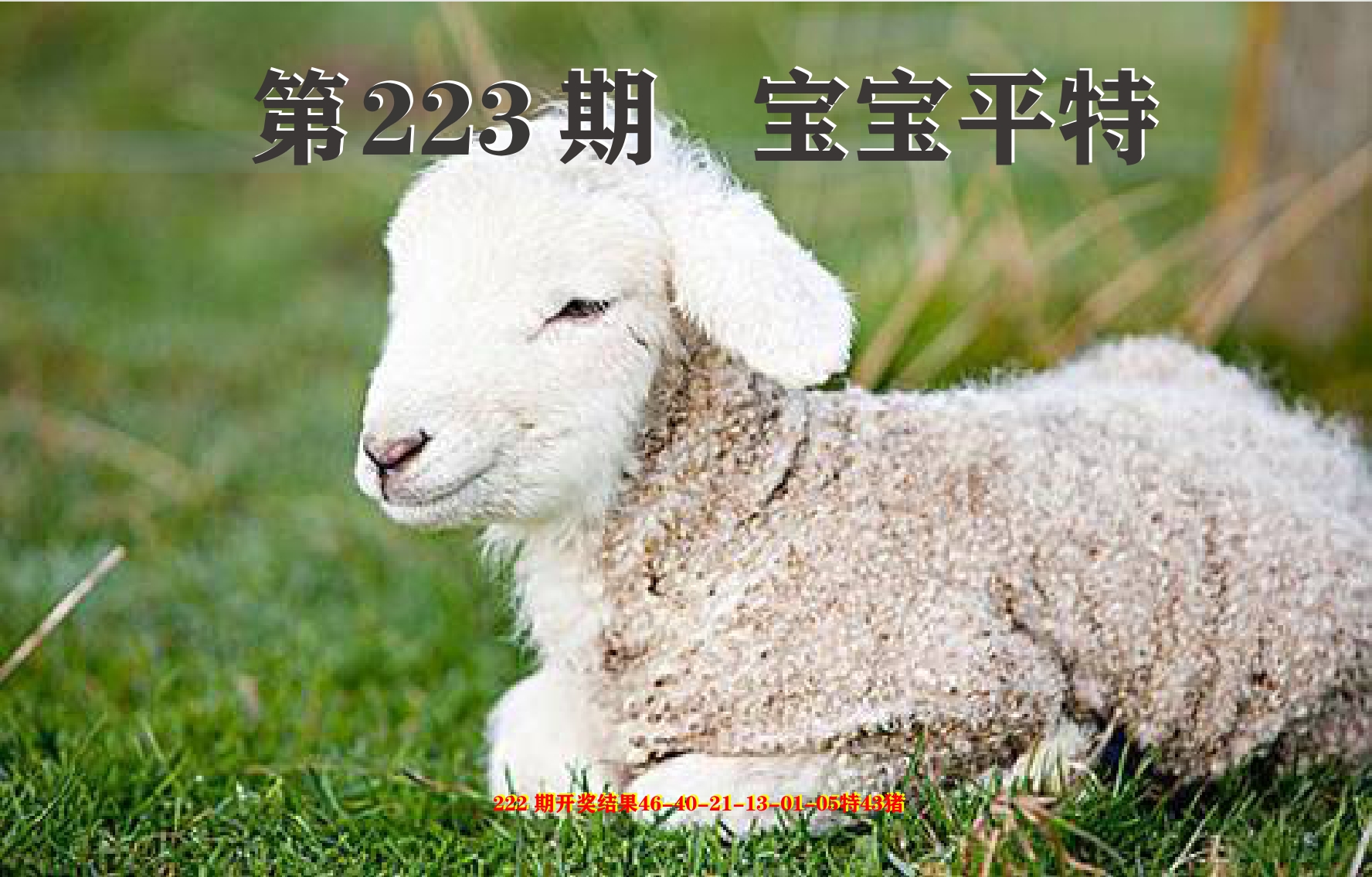 加载中……