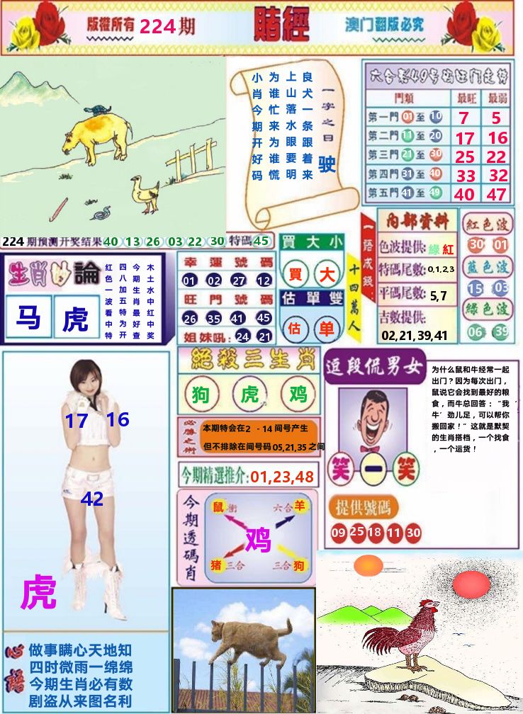 加载中……